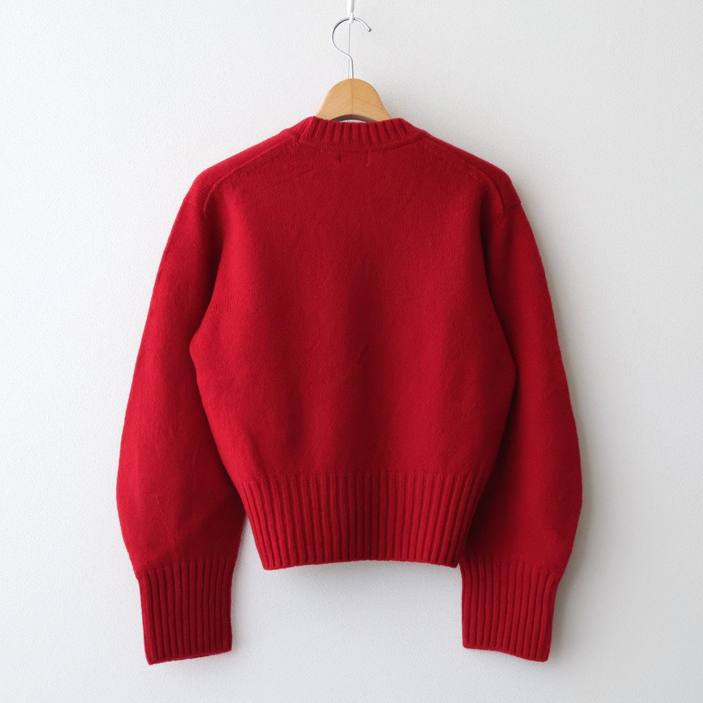 fine lambs wool crew-neck P/O #red [WVFL-UW117]
