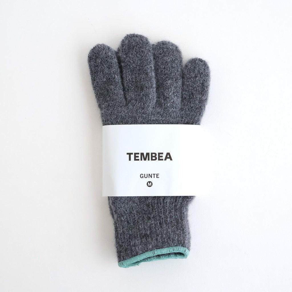 GUNTE #MID-GREY/UGUISU [TMB-GNT1]