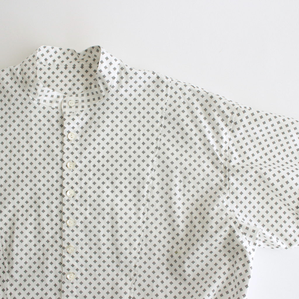 明滅する春 half sleeve shirt dress #white/black [TLF-224-op017-gp]
