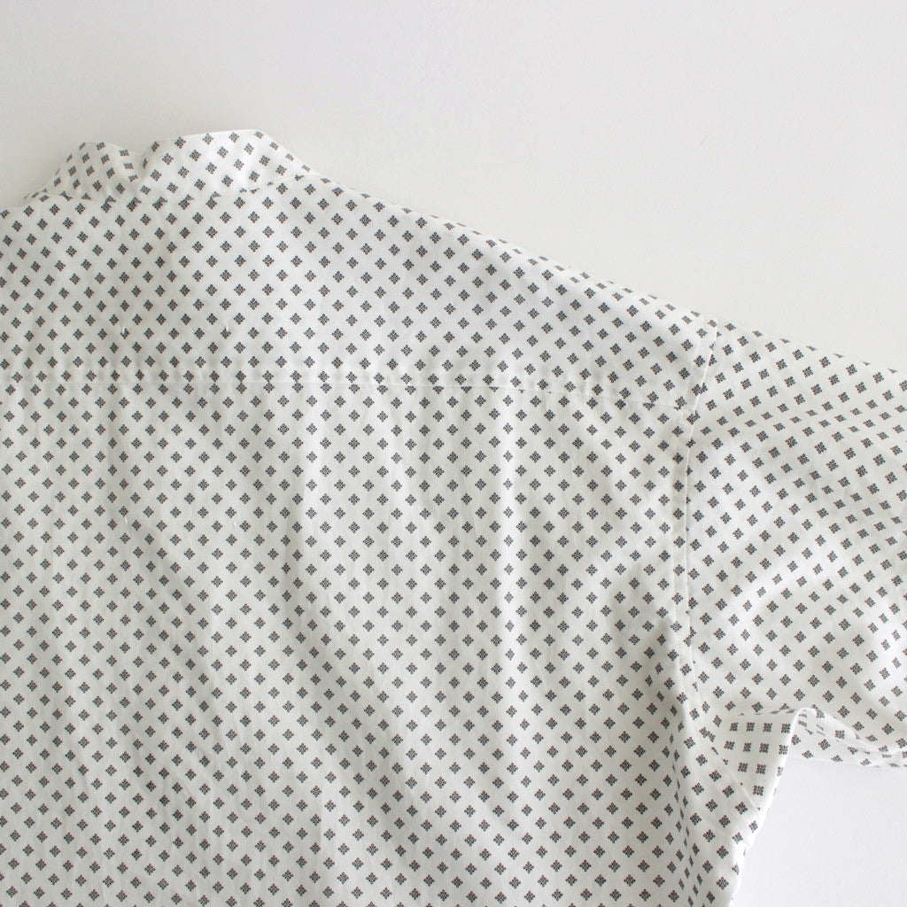 明滅する春 half sleeve shirt dress #white/black [TLF-224-op017-gp]