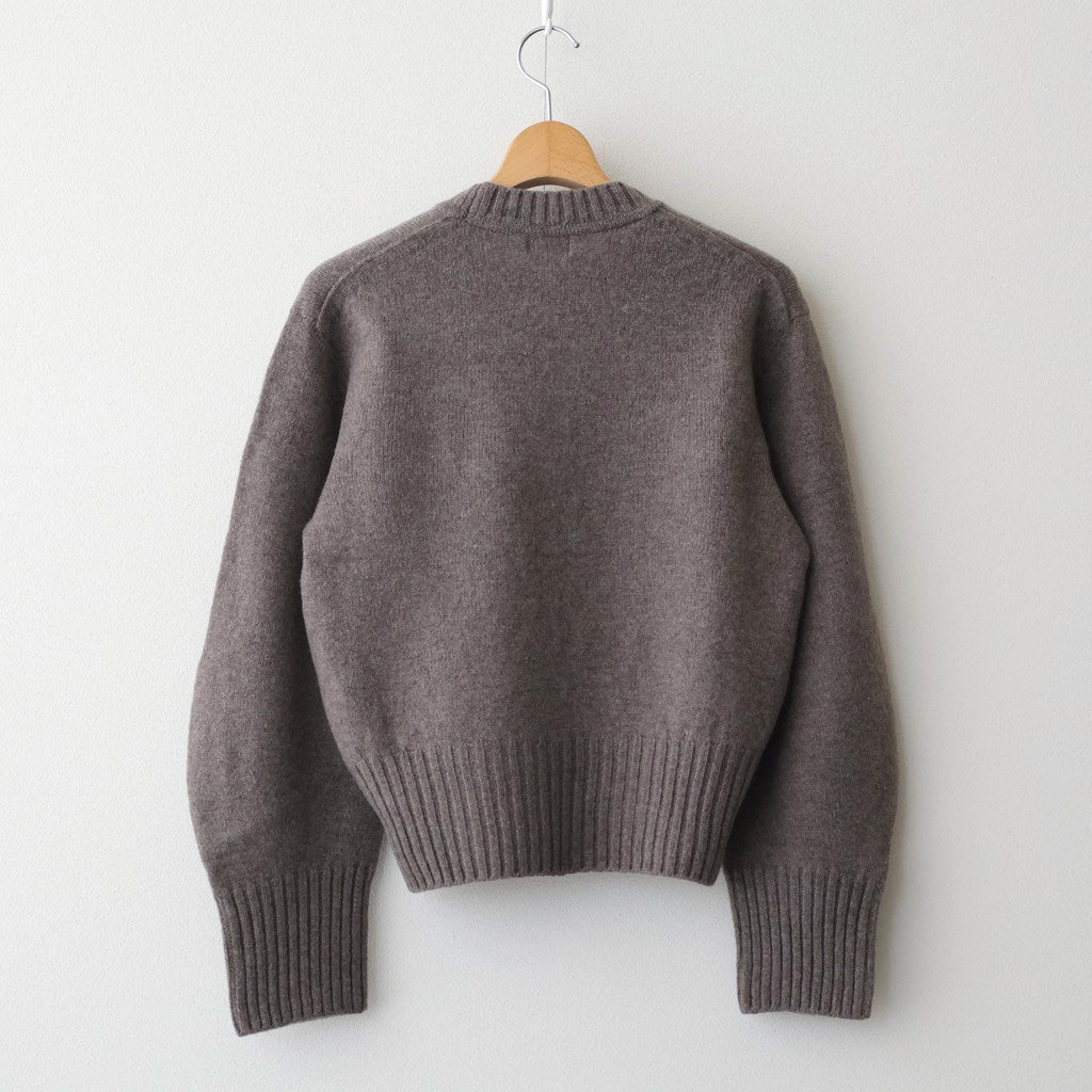 fine lambs wool crew-neck P/O #dark mocha [WVFL-UW117]