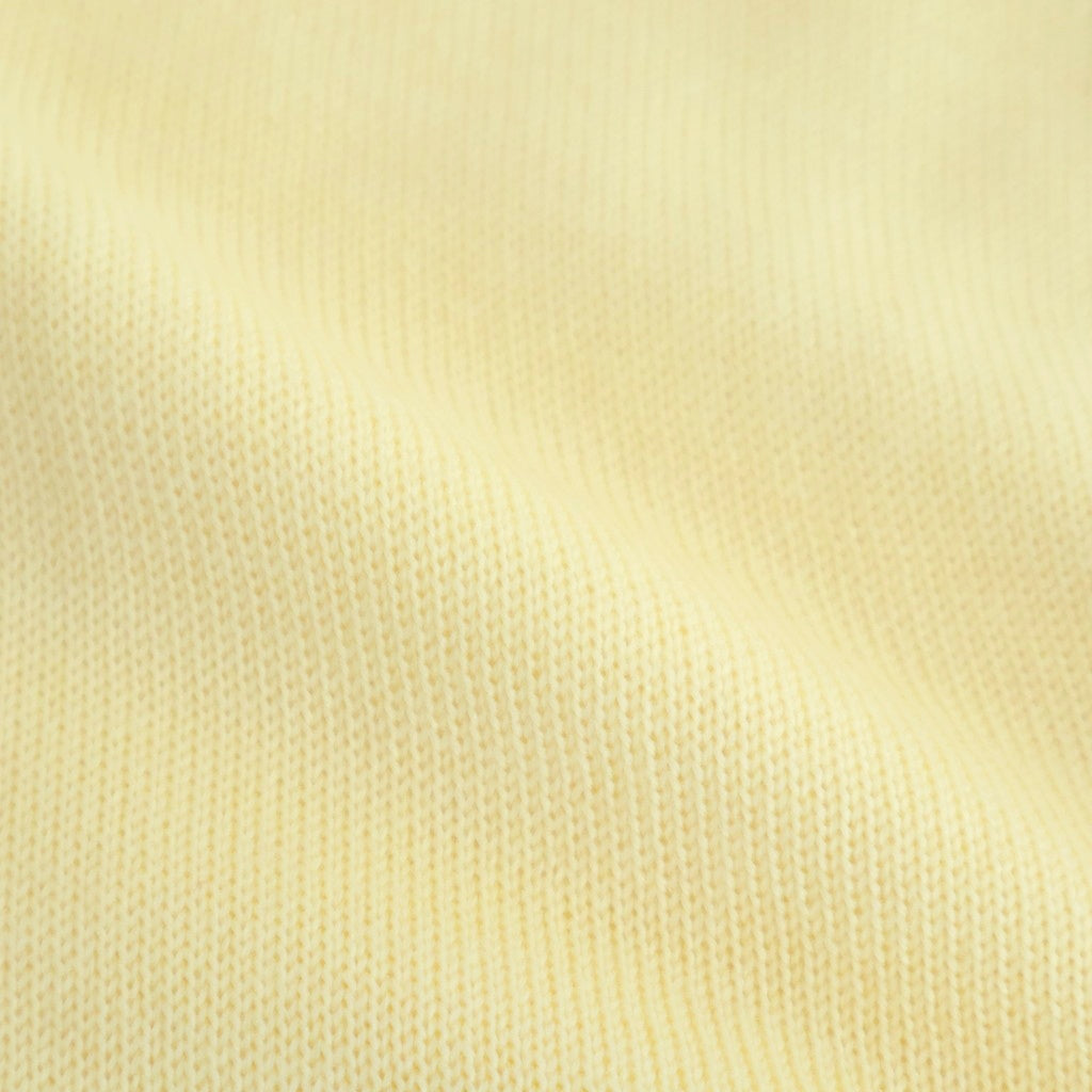 Seiyakou high-neck knit #Pale yellow [252802]