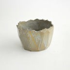 Miobe GOLD LINE S #BLUE GRAY [NOH-MIO-S-LI-BG-01]